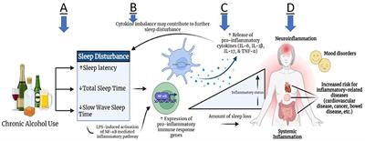 An exploratory study of pro-inflammatory cytokines in individuals with alcohol use disorder: MCP-1 and IL-8 associated with alcohol consumption, sleep quality, anxiety, depression, and liver biomarkers